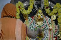 165th Shri Chitrapur Rathotsava 2026 - Day 7-8 (3, 4 April 2026) Pictures courtesy of Shri Dinesh Karkal